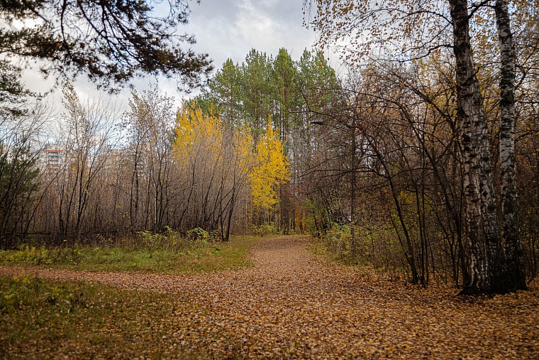 Народные приметы на 10 октября: сухая погода - морозы не скоро ударят