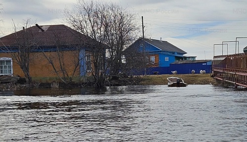 В Тюменской области подтопило труднодоступную деревню Заболотья