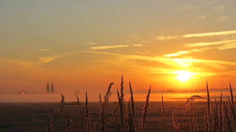 Фото: pixabay.com