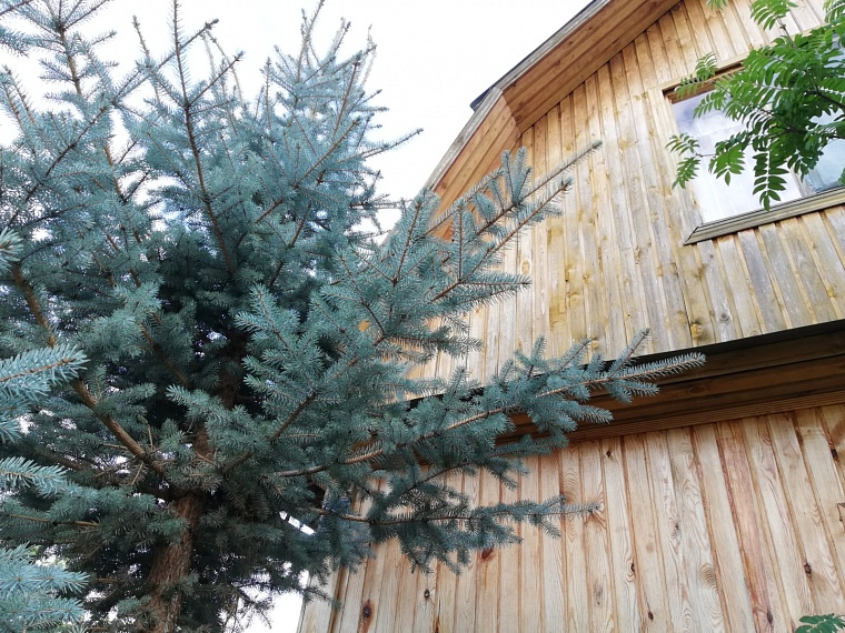 Большая часть россиян планирует провести отпуск на даче