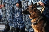Тюменские служебные собаки даже на пенсии спасают людей