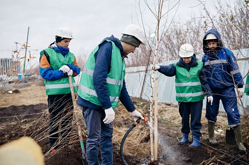 В тюменском ЖК посадили первый в России лес по методу японского эколога