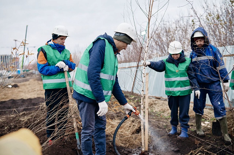 В тюменском ЖК посадили первый в России лес по методу японского эколога