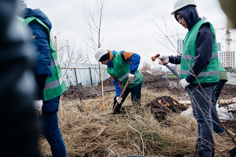 В тюменском ЖК посадили первый в России лес по методу японского эколога