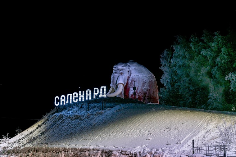 Рядом с мамонтом Митей в Салехарде установили новый арт-объект