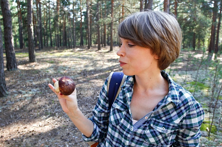 В России предложили официально учредить День грибника 3 октября