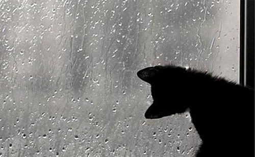 Как вести себя в шторм: инструкция «Вслух.ру»