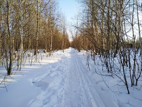 Народные приметы: не проси у Анисьи тепла