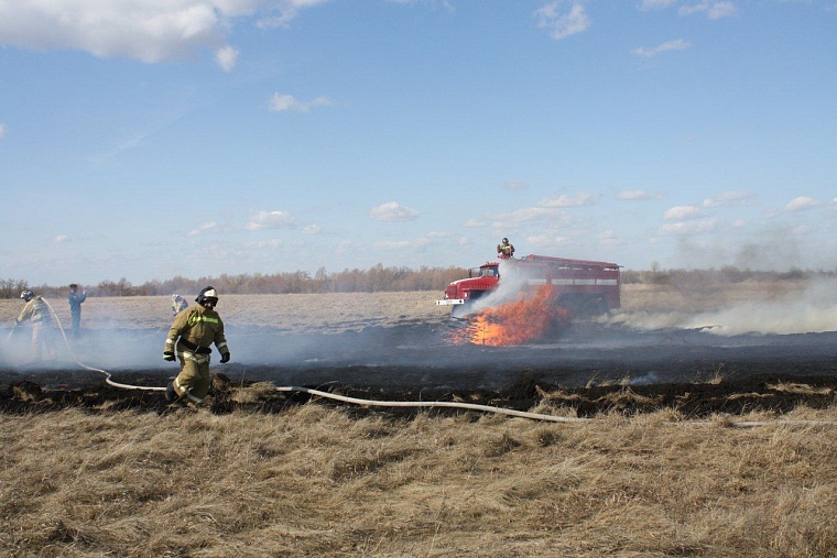 119 лесным пожарам в регионе не дали никаких шансов