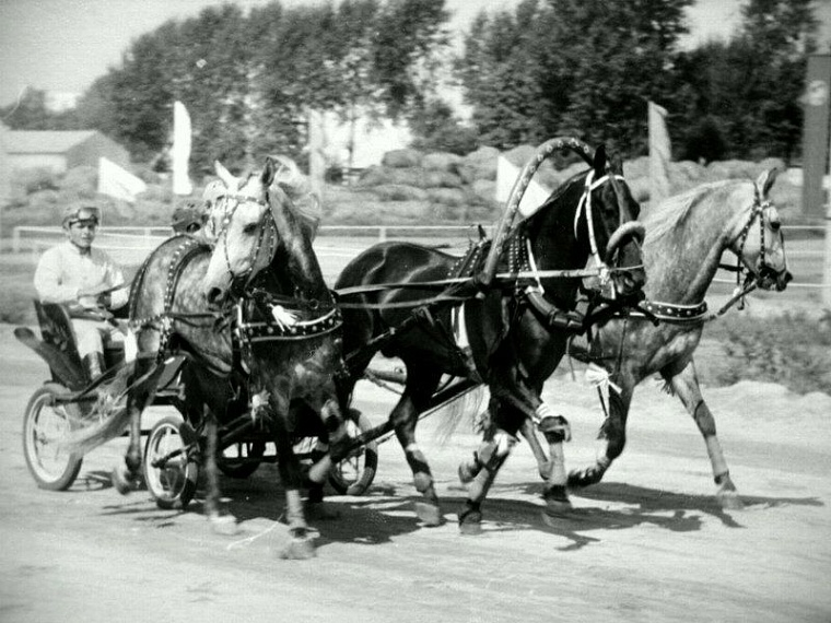 Тюменскому ипподрому 148 лет: интересные факты