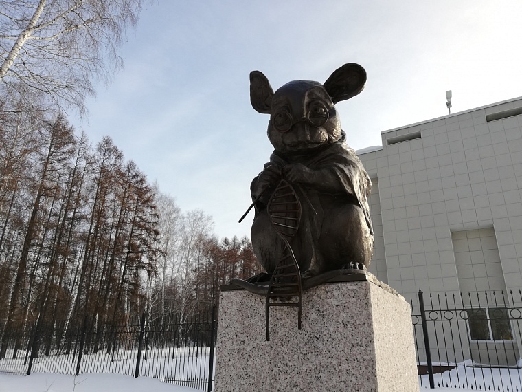 В ЕГЭ-2023 по биологии увеличат количество заданий