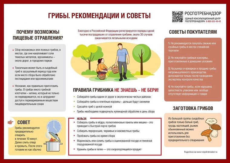 Как не отравиться грибами. Источник: 72.rospotrebnadzor.ru