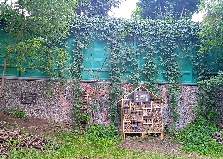 Гостиницу для насекомых устроили в центре Тюмени