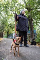 Серафима Бурова: Собаки научили меня понимать, что сильнее природы быть нельзя