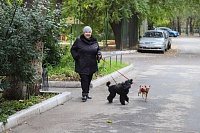 Серафима Бурова: Собаки научили меня понимать, что сильнее природы быть нельзя