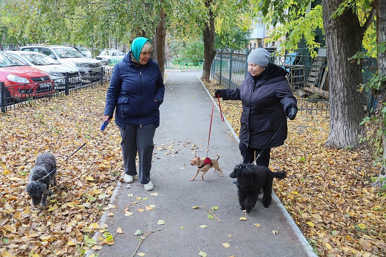 Серафима Бурова: Собаки научили меня понимать, что сильнее природы быть нельзя