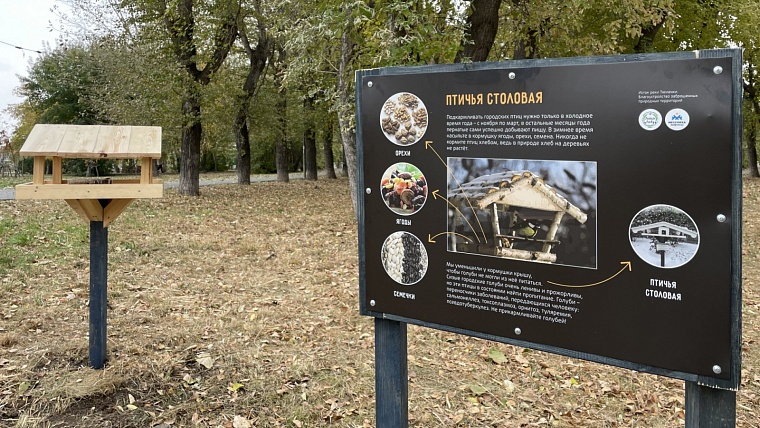 Тюменские волонтеры создали экомаршрут у истока Тюменки