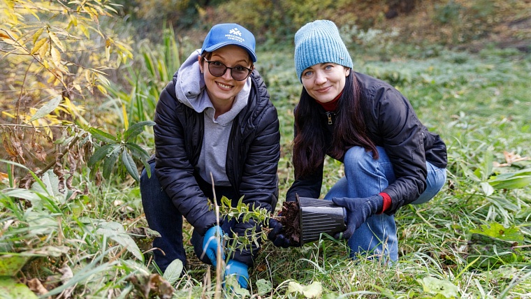 Тюменские волонтеры создали экомаршрут у истока Тюменки