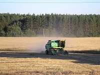 В Сорокинском районе заготовили более 46 тысяч тонн зерна