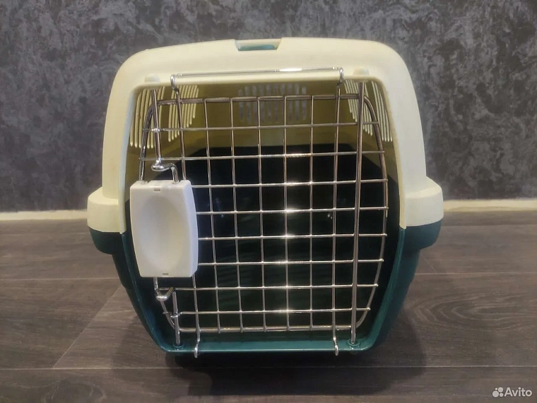 Путешествие с домашним питомцем: какую переноску выбрать