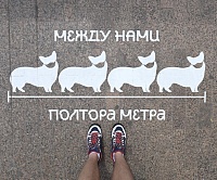 На тюменских остановках нарисовали социальную разметку в хомяках, бобрах и оленях