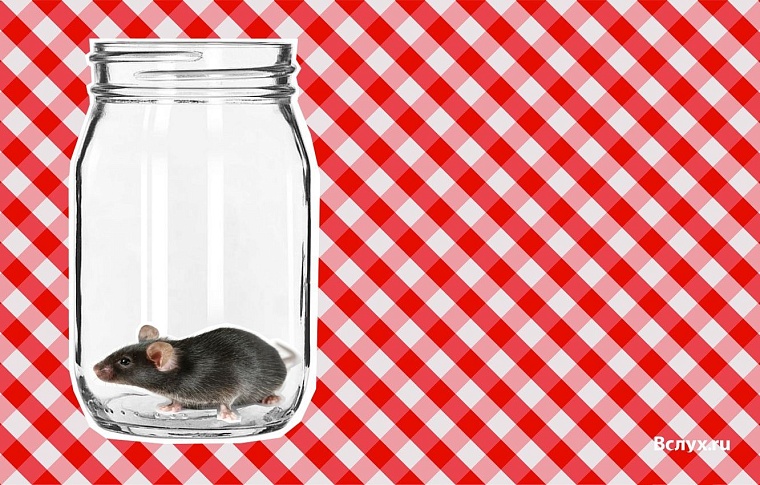 Ужасы 8 Марта: читательницы «Вслух.ру» о плохих подарках