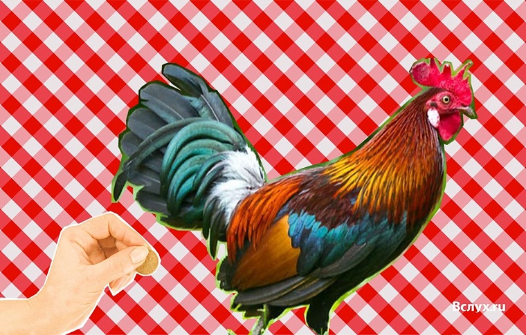 Ужасы 8 Марта: читательницы «Вслух.ру» о плохих подарках