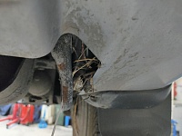 Трясогузка свила гнездышко под бампером автомобиля в Тюмени