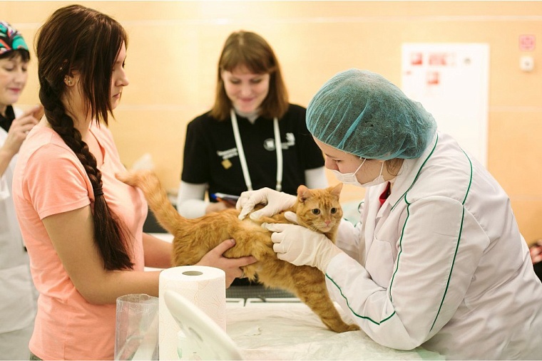 В Тюменской области фермеры охотно принимают на стажировку молодых специалистов