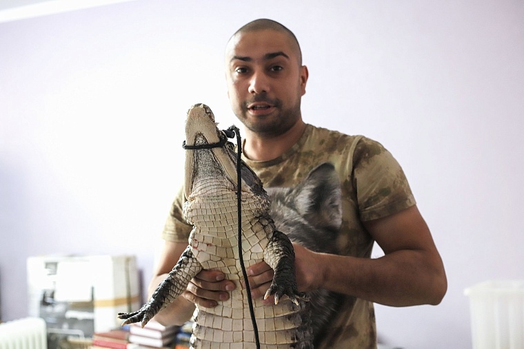 Весело и опасно: тюменец Феликс Булатов держит дома крокодила