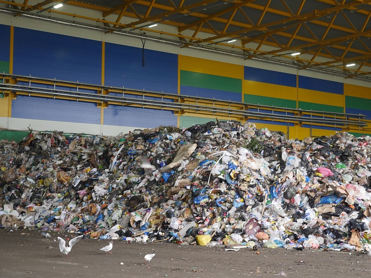 Испытано на себе: почему при сортировке мусора кружится голова