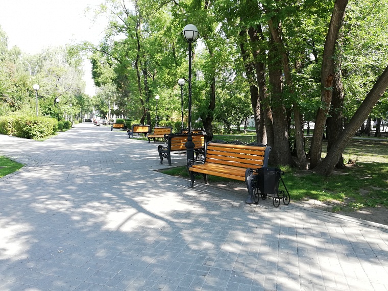 Спрятаться от солнца: самые тенистые места в Тюмени