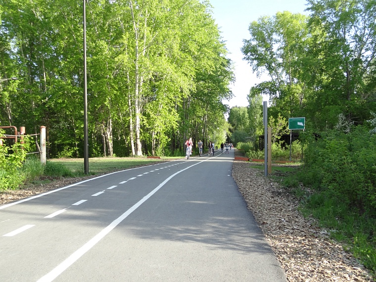 Спрятаться от солнца: самые тенистые места в Тюмени