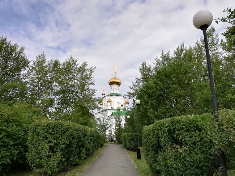 Спрятаться от солнца: самые тенистые места в Тюмени