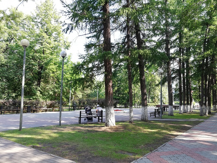 Спрятаться от солнца: самые тенистые места в Тюмени