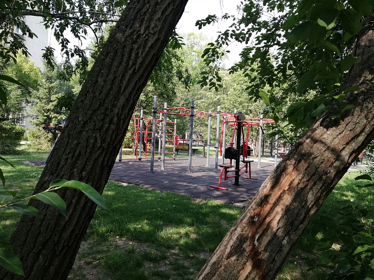 Спрятаться от солнца: самые тенистые места в Тюмени