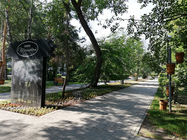 Спрятаться от солнца: самые тенистые места в Тюмени