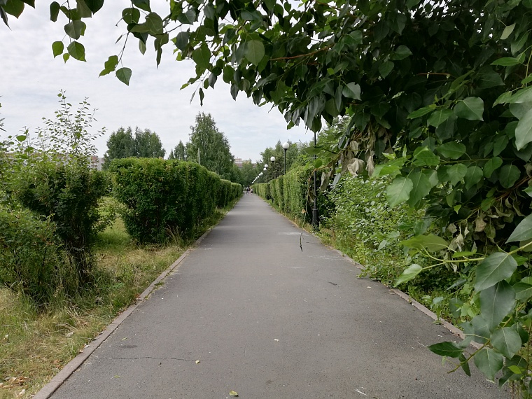 Спрятаться от солнца: самые тенистые места в Тюмени