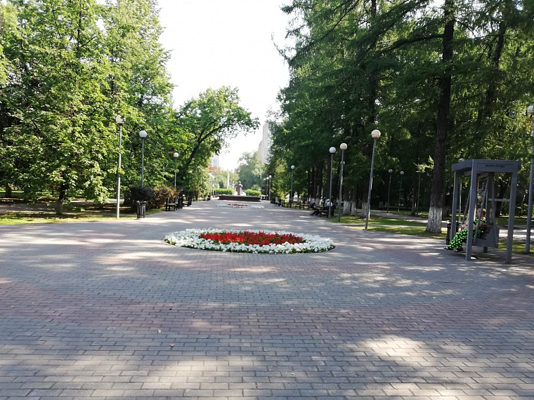 Спрятаться от солнца: самые тенистые места в Тюмени