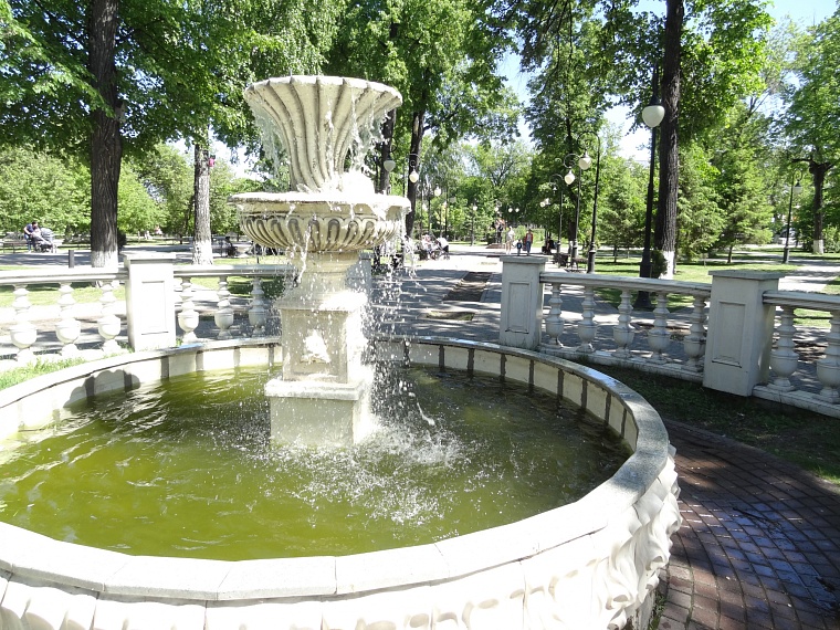 Спрятаться от солнца: самые тенистые места в Тюмени