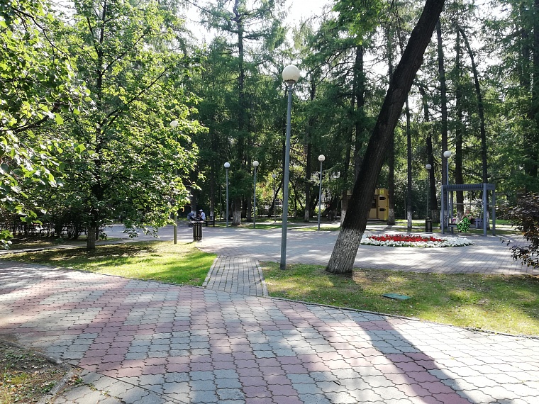 Спрятаться от солнца: самые тенистые места в Тюмени