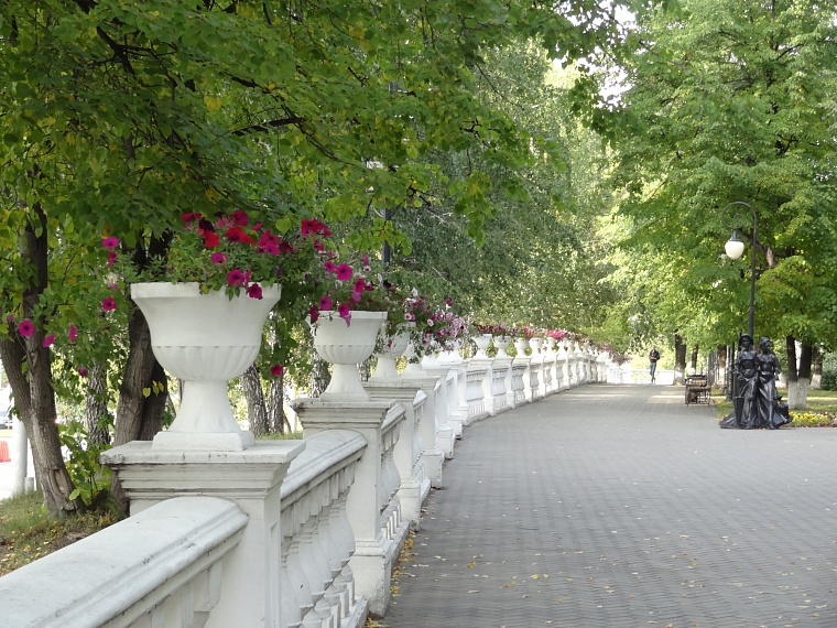 Спрятаться от солнца: самые тенистые места в Тюмени