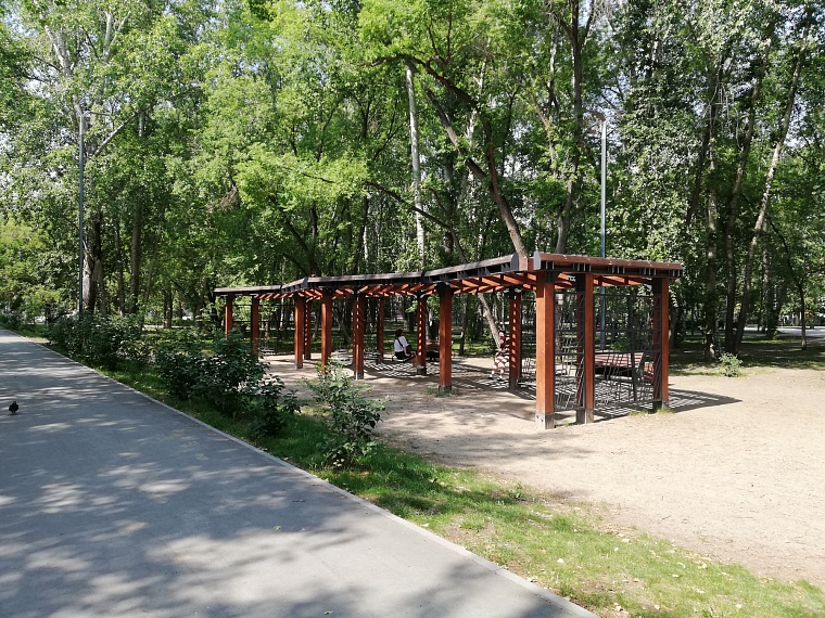 Спрятаться от солнца: самые тенистые места в Тюмени