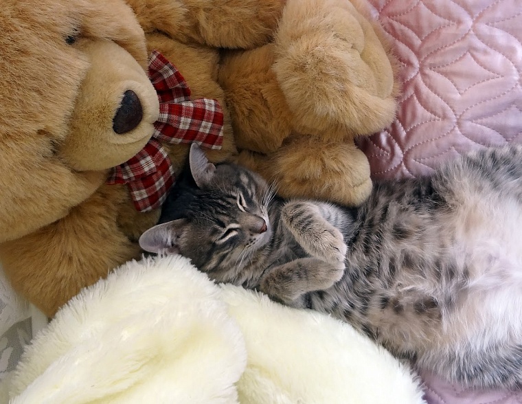 Как отдыхаем в феврале и марте: выходные и рабочие дни