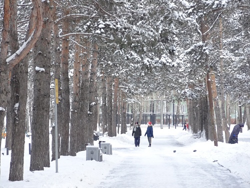 Температура и ветер: в администрации Тюмени объяснили параметры для актировки в школах в 2023-2024 учебном году