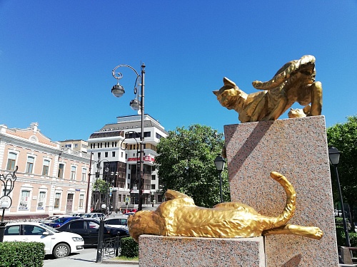 В Тюмень снова возвращается жара под +30 градусов, но ненадолго