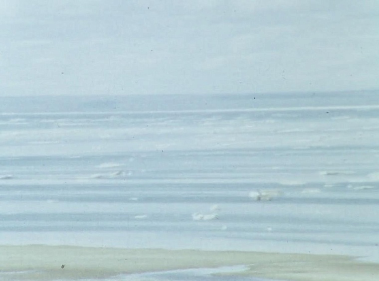 Обличения, вредительство, митинги и протесты — как боролись за экологию в эпоху большой нефти