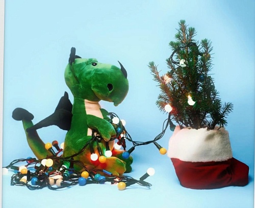 Тюменцы представили фотопроект с Драконом