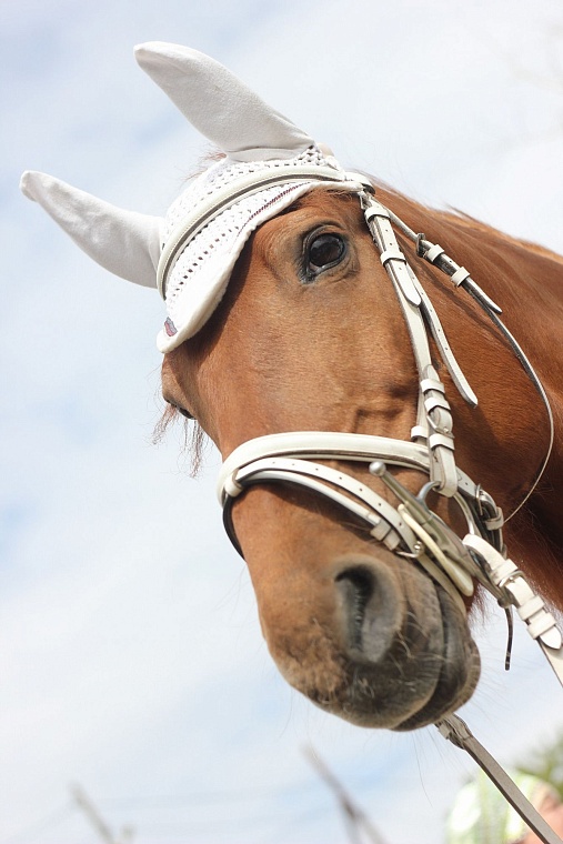 Народы сближают кухня и культура