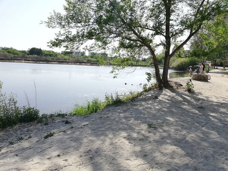 Закрытые водоёмы со стоячей водой опасны для купальщиков: комментарий дерматолога